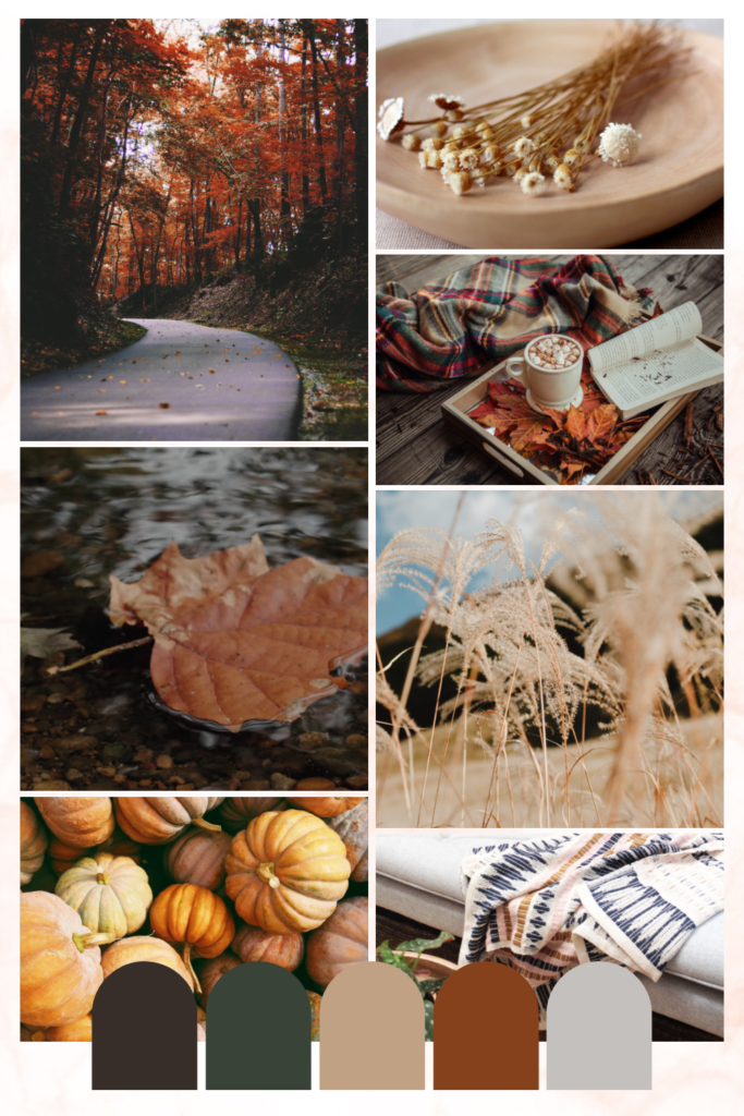 5 Benjamin Moore Autumnal Moody Paint Colors for Cozy Vibe Inspiration ...